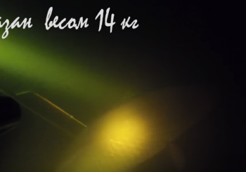 Трофейный сазан весом 14 кг