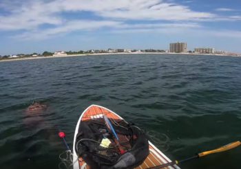 Подводная охота на SUP доске