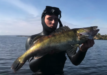 Подводная охота на Днепре осенью 2019