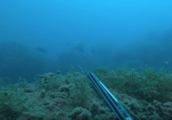 Подводная охота в туман на Черном море