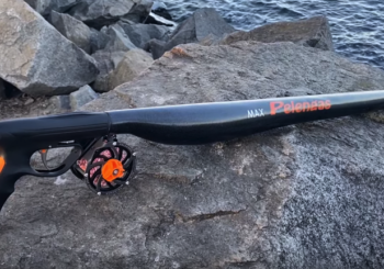 Ружье для подводной охоты Pelengas Carbon Max 2020