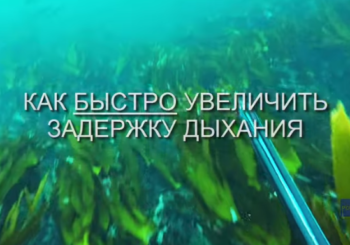 Как подводному охотнику увеличить задержку дыхания