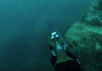 Зимняя подводная охота в Средиземное море