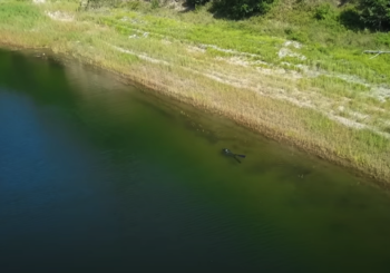 Подводная охота на Красноярском водохранилище
