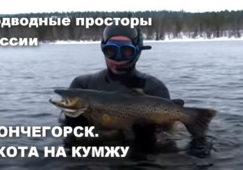 Подводная охота на кумжу в Мончегорске