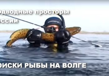 Поиски рыбы в весенней Волге