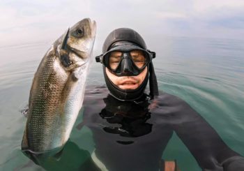 Подводная охота в Англии после карантина