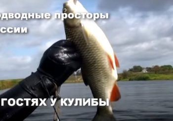 Подводная охота с Олегом Кулибой