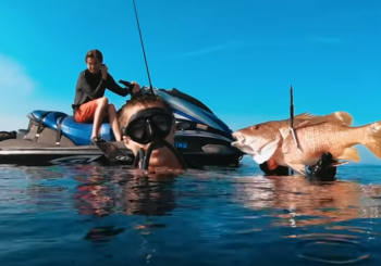 Увлекательная подводная охота на морского окуня в Мексике