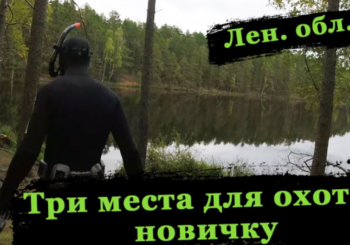Места для подводной охоты в Ленинградской области для начинающих