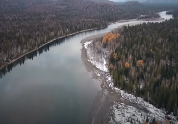 Хоровод Тайменей