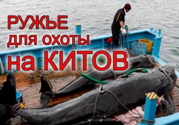 Гидропневматическое ружье для подводной охоты