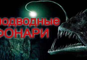 Подводные фонари для мутной воды