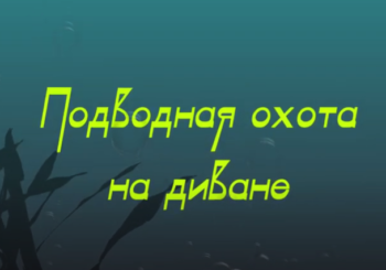 Что нужно знать новичку о ночной подводной охоте