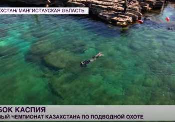 В Казахстане впервые прошёл чемпионат по подводной охоте