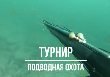 Праздник окуня. Турнир по подводной охоте