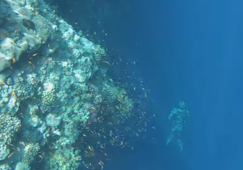 Снаряжение для морской подводной охоты. Интервью с Андреем Малышевым. Часть 2