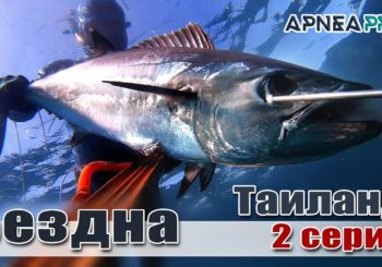 ТВ-шоу «Бездна с Олегом Гаврилиным». Часть 2