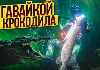 Подводная охота на высокогорном озере в Туве. Часть 2