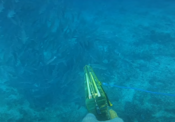 Подводная охота на острове Селаяр
