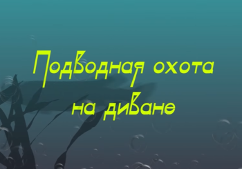 Как не перегреться на подводной охоте