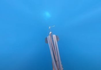 Страх перед нападением акулы во время подводной охоты в Сан-Диего, Калифорния