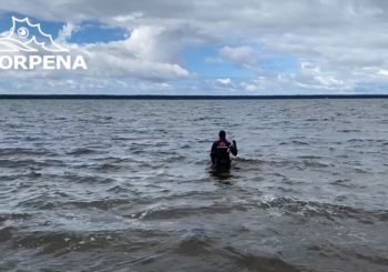 Как не сломать карбоновые лопасти SCORPENA?